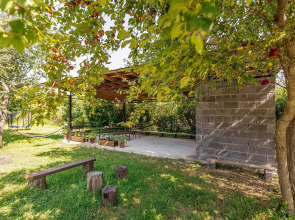 Эко-коттеджи ДиАлекс