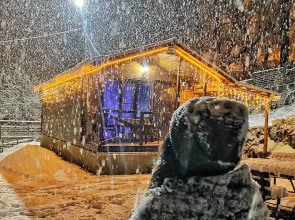 Шале Чинара