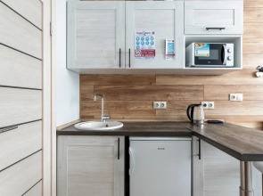 Апартаменты Букинист 233/1