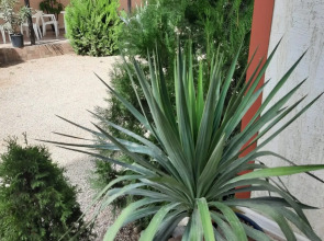 Жилое помещение Гавайи