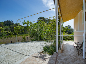 Частный Дом с мандариновым садом