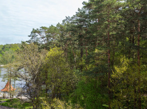 Апартаменты Аврора с видом на лес и озеро