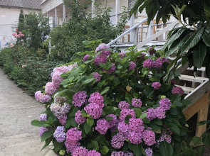 Гостевой дом «Big Fish»