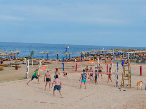 Amphoras Aqua Adults Friendly