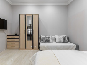 Квартира В историческом центре города. Пр.Мира