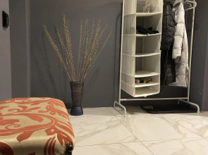 Мебелированные комнаты Мясницкая