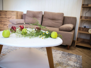 Гостевой дом Элемент Алтая