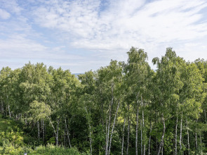 Апартаменты с видом на парк с двумя раздельными кроватями, кухней, ПММ в 10 минутах от центра Нижнего Новгорода