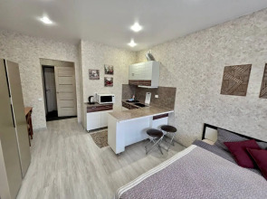 Апартаменты SeveRent Дзержинского 3