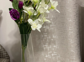 Аппартаменты в центре Калининграда