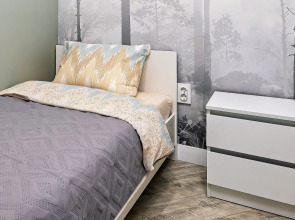 Уютная Квартира в центре у метро