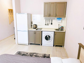 Квартира на Московском шоссе 33 к4