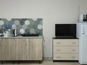 Studiya V Severnom Rayone Flat