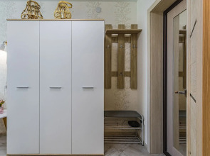 Студия на Московском шоссе 167, ЖК Москва-Град. Сова-Дом