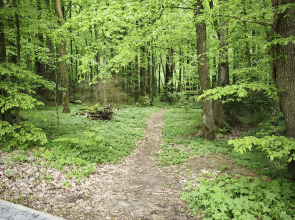 Апартаменты Serenity в окружении Реликтового Леса