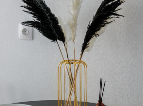 Апартаменты roomroom 4 Стихии в Сердце Ярославля