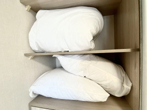 Квартира Скандинавия