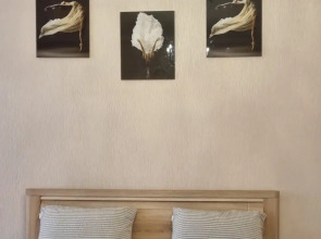 Частный дом на Ломоносова