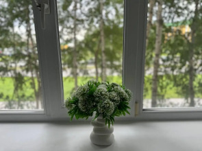 Апартаменты Bragin Hill