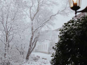 Меблированные Комнаты Villa 7