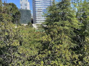 Апартаменты Светлана-Центр у моря с видом на сад магнолий