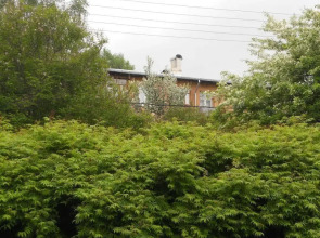Baykalskiy Pokoy Flat