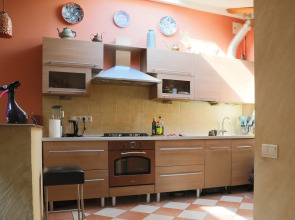 Уникальный Пентхаус Недалеко от Дворцовой Площади Апартаменты