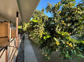 Гостевой дом Новый Афон