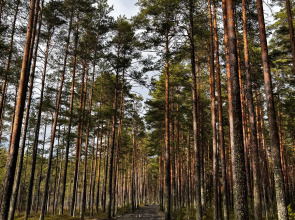 Частный дом Ладожские дюны