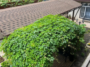 Гостевой дом Амалия