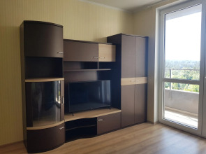 Квартира в Курортном Светлогорске-2