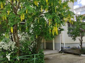 Квартира Уютные