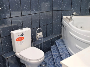 Апартаменты Большие в центре