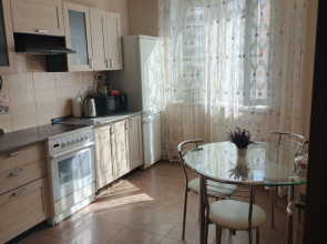 Uyutnaya Vozle Aeroporta Vnukovo Flat