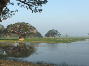 Elephant Pass Hotel