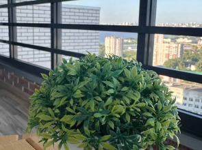 1-к. квартира на Базарной площади с видом на пруд, 30 м², 22 этаж