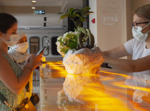 Отель Old Town Point Antalya