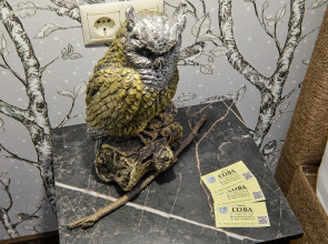 Отель Сова на Каширской