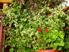 Ivanovskij Guest House