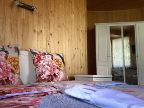 Гостевой дом Аура гор