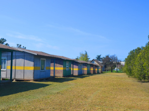 Festival Guest house