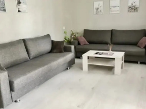 Na Ulitse Petrusya Brovki 37 Apartments