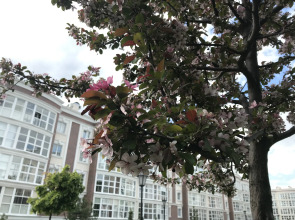 Квартира Прилесье на Лесопарковой