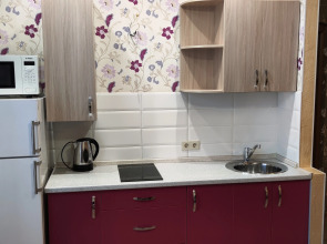 Апартаменты на Челюскинцев 3