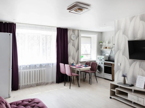 Апартаменты 3х комнатная квартира в сердце города