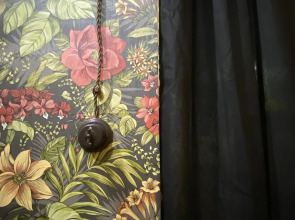 Меблированные комнаты The Roomers