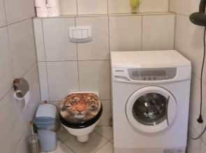 Апартаменты с камином и отдельным входом