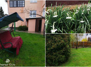 Гостевой дом Усадьба Западная Двина