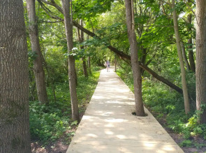 Апартаменты на берегу Балтийского моря