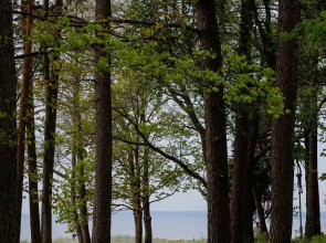 Апартаменты Ривьера апарт